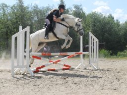 img_3631_web